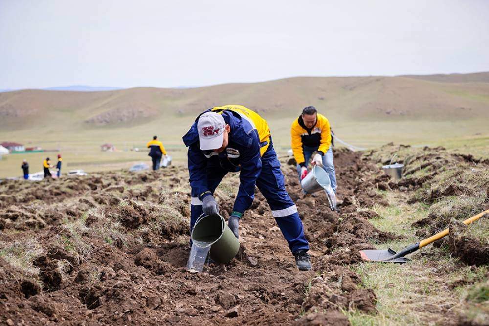 Хаврын бүх нийтээр мод тарих өдрөөр богдхан ууланд шилмүүст мод тарьлаа