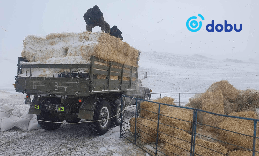 Алба хаагчид малчдад тусалсаар байна