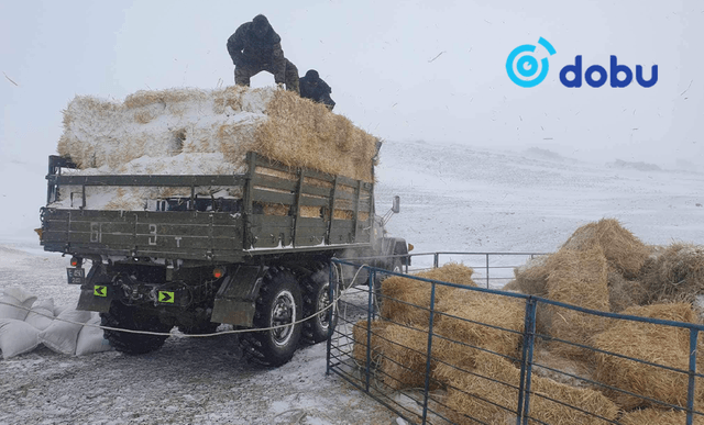 Алба хаагчид малчдад тусалсаар байна