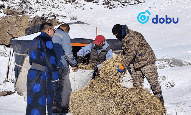 Зэвсэгт хүчнийхэн манлайлах үүрэгтэй дэмжлэг үзүүлж байна