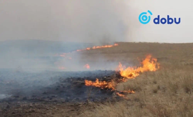 Хээрийн түймрүүдийг бүрэн унтраахаар ажиллаж байна