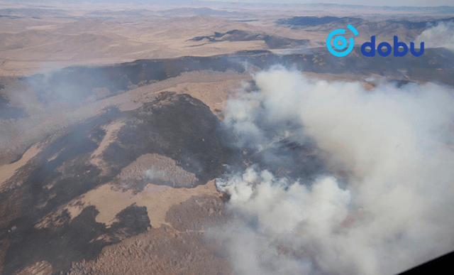 Сэлэнгэ аймагт гарсан түймрийг унтраахаар ажиллаж байна