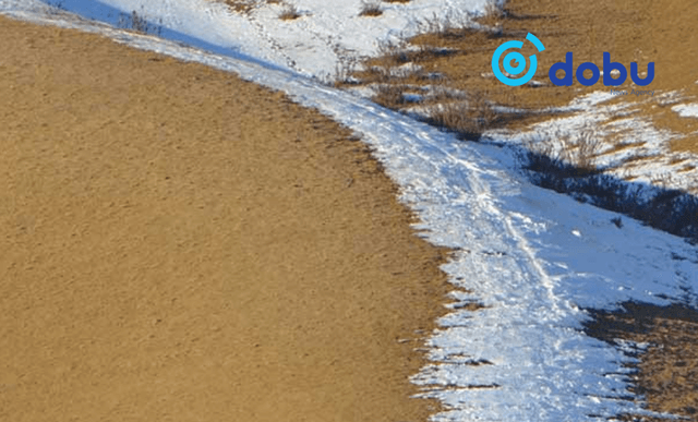 Хүй долоон худаг орчмоос Солонгос иргэний цогцос олджээ