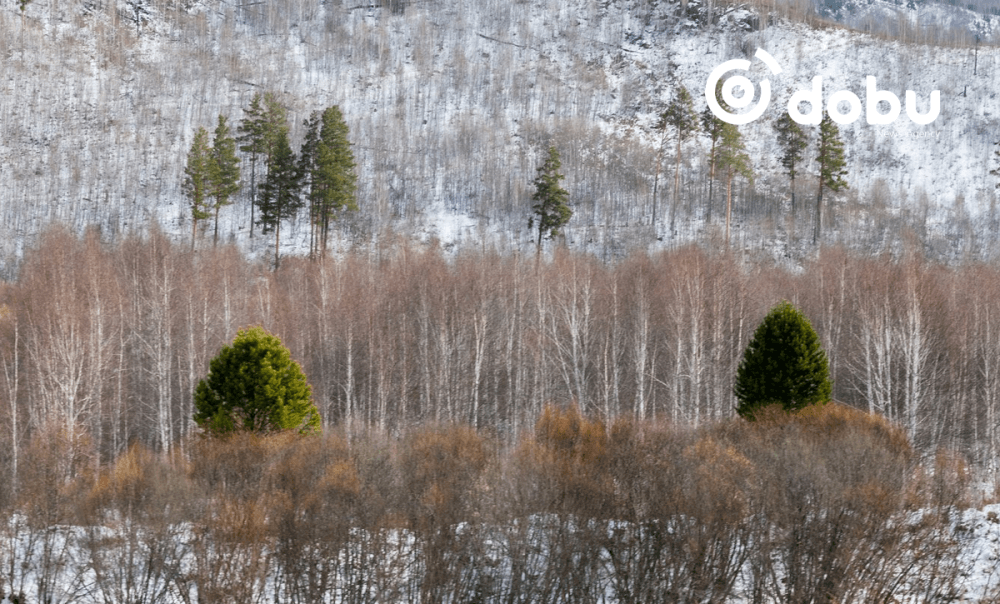 Баруун аймгуудын нутгаар бороо, нойтон цас орно