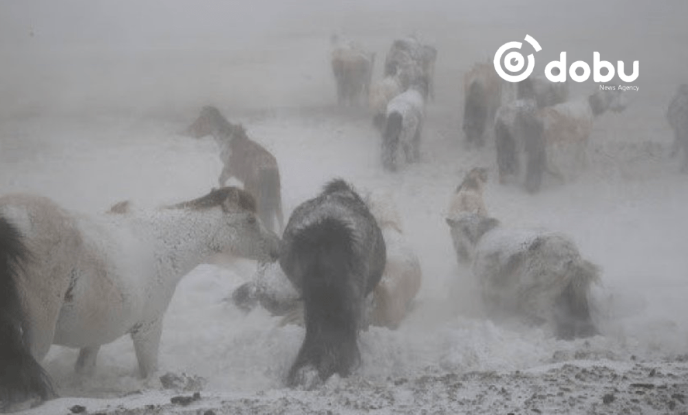 Ихэнх нутгаар 10-20 градусаар хүйтэрч, цасаар шуурна