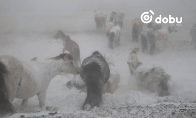 Ихэнх нутгаар 10-20 градусаар хүйтэрч, цасаар шуурна