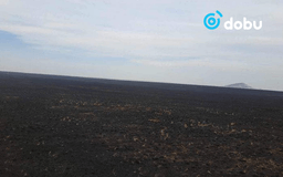 Нийт нутгаар хуурайшилтын түвшин нэмэгджээ