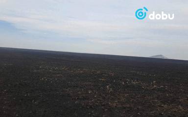 Нийт нутгаар хуурайшилтын түвшин нэмэгджээ