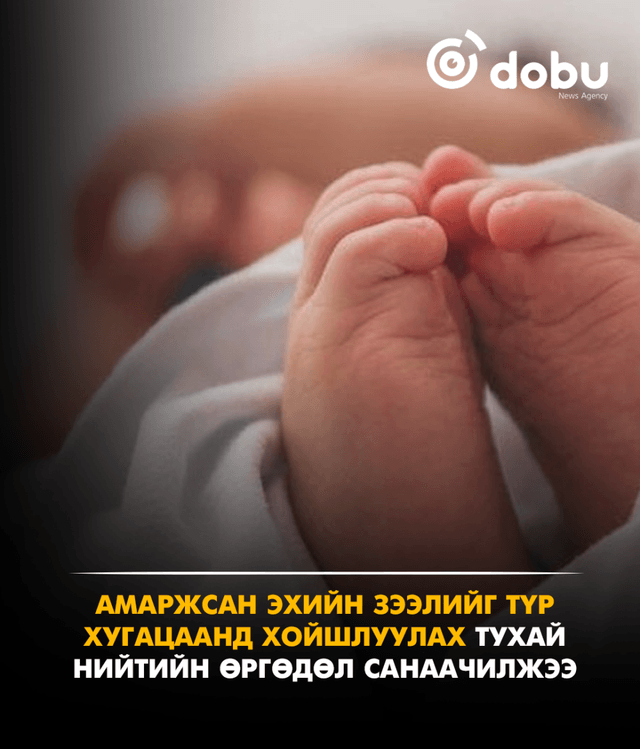 Амаржсан эхийн зээлийг түр хугацаанд хойшлуулах тухай нийтийн өргөдөл санаачилжээ