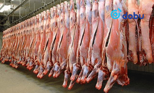 “Өвлийн идэш” өргөтгөсөн худалдаа зохион байгуулна