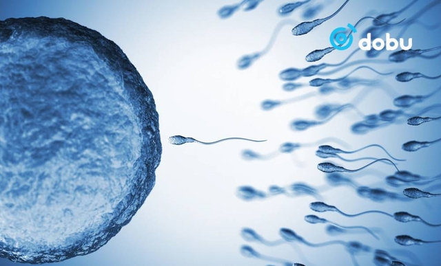 Донор эрийн бэлгийн эсээр төрсөн 200 орчим хүүхэд хорт хавдрын гентэй төржээ