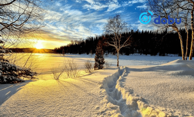 Ихэнх нутгаар цаг агаар тогтуун байна