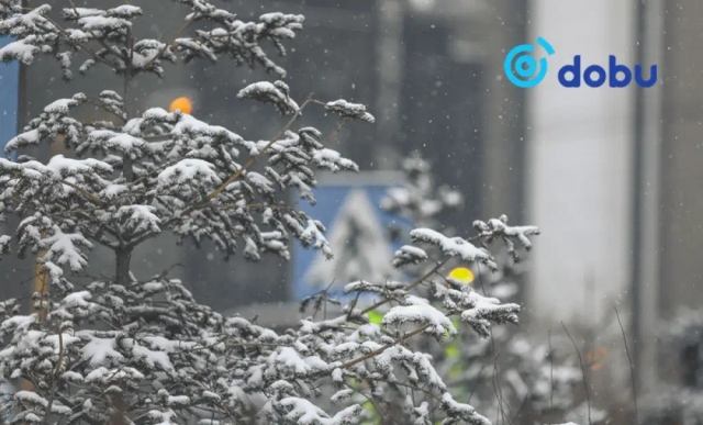 Улаанбаатарт 20 градус хүйтэн байна