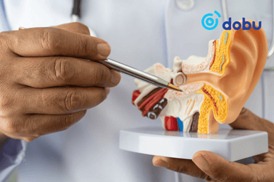 14-18 насны 3000 суралцагчид чих, хамар, хоолойн эрүүл мэндийн суурь мэдлэг олгоно