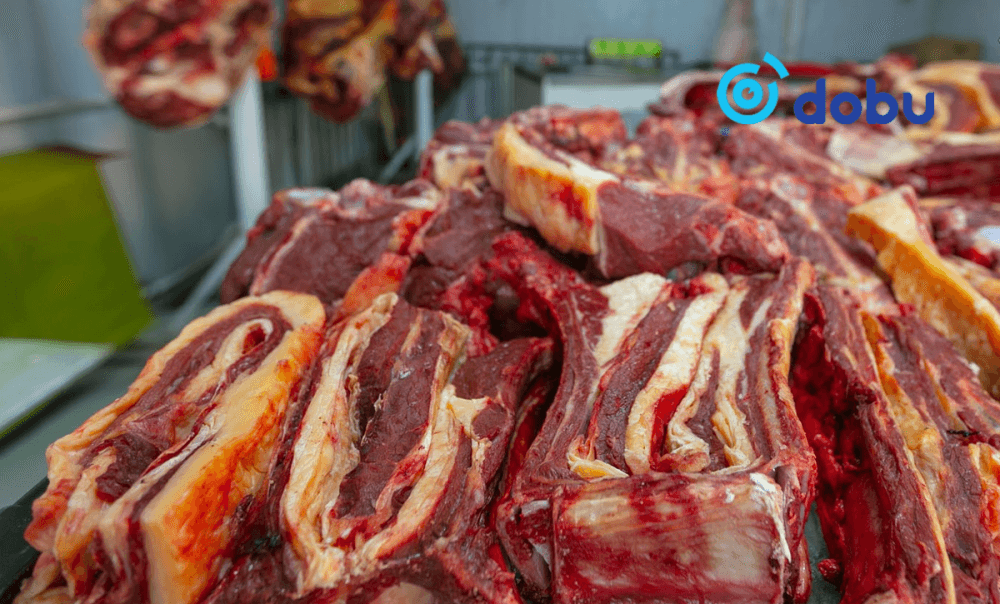 "Мал мах, сүү, цагаан идээ зарна" хэмээн 2.7 ТЭРБУМ төгрөг залилжээ