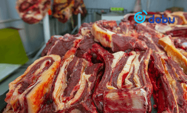 "Мал мах, сүү, цагаан идээ зарна" хэмээн 2.7 ТЭРБУМ төгрөг залилжээ