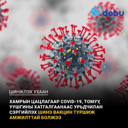 Хамрын цацлагаар COVID-19, томуу, уушгины хатгалгаанаас урьдчилан сэргийлэх шинэ вакцин туршиж амжилттай болжээ