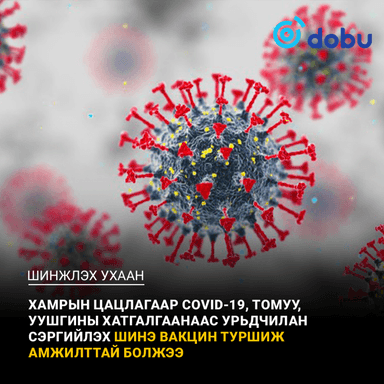 Хамрын цацлагаар COVID-19, томуу, уушгины хатгалгаанаас урьдчилан сэргийлэх шинэ вакцин туршиж амжилттай болжээ