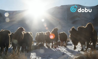 Ихэнх нутгаар цаг агаар тогтуун байна