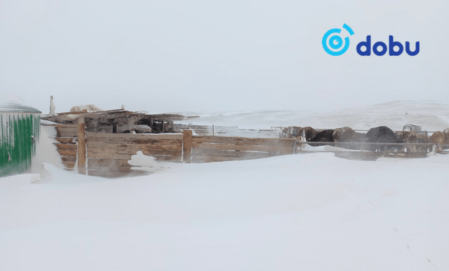 Өнөөдөр, маргааш ихэнх нутгаар салхи шуургатай байна