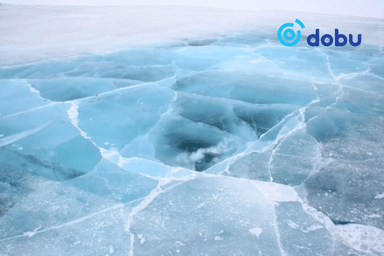 Автомашинтай зорчиж явсан дөрвөн иргэн Буйр нуурт живж, нас баржээ