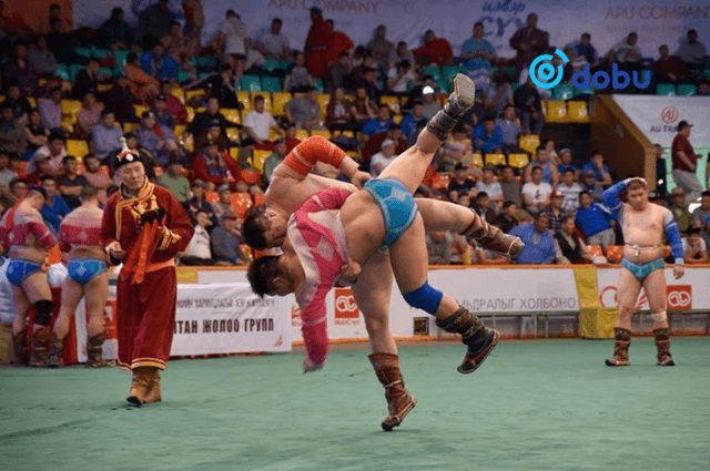 Танилц: Энэ сард болох бөхийн барилдааны хуваарь