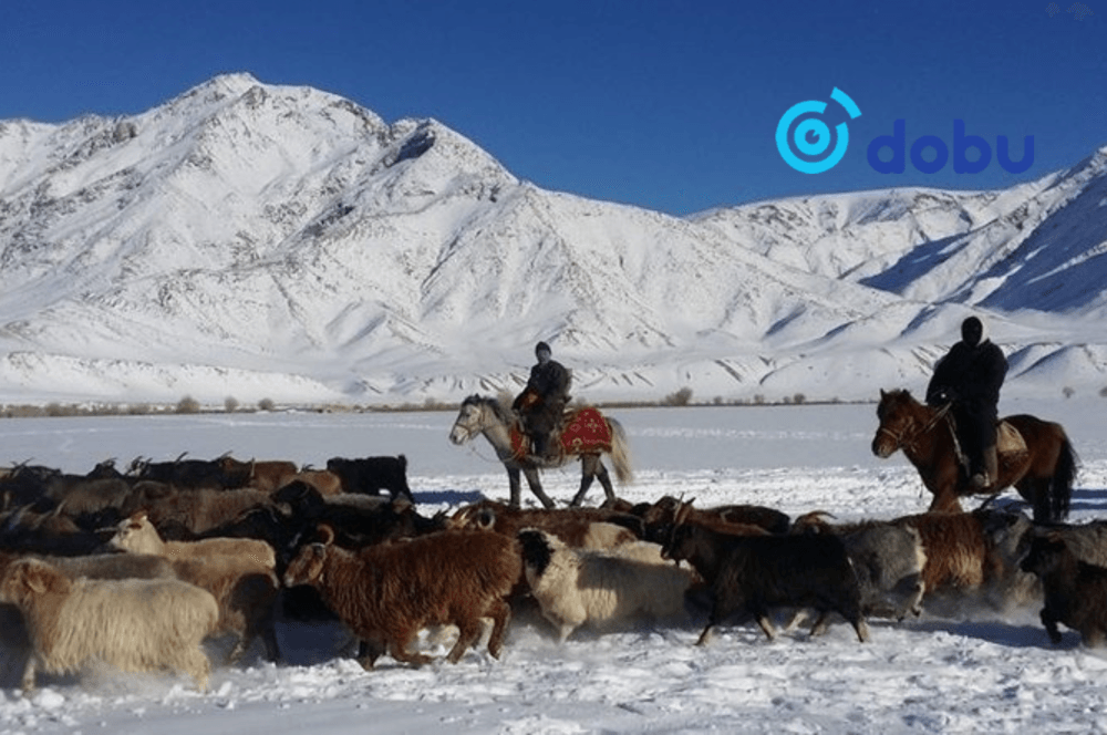 Малдаа яваад сураггүй болсон иргэдийг эсэн мэнд олжээ