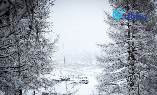 Ихэнх нутгаар цаг агаар тогтуун байна