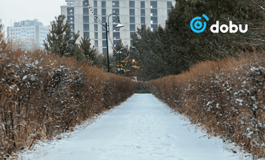 Улаанбаатарт өдөртөө -15 градус хүйтэн байна