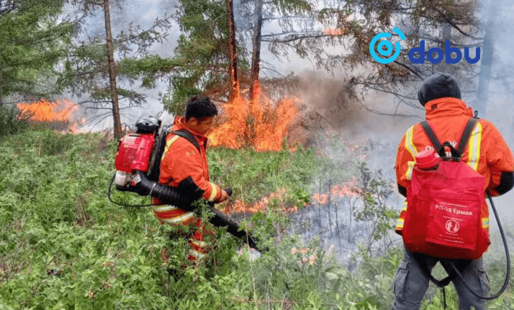 Улсын хэмжээнд өнөөдөр байдлаар 14 ойн түймрийг унтраахаар ажиллаж байна