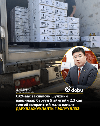 ОХУ-аас захиалсан шүлхийн вакцинаар баруун 5 аймгийн 2.3 сая толгой мэдрэмтгий малд нэмэлт дархлаажуулалтыг эхлүүллээ