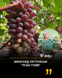 Монголд ургуулсан  “УСАН ҮЗЭМ”
