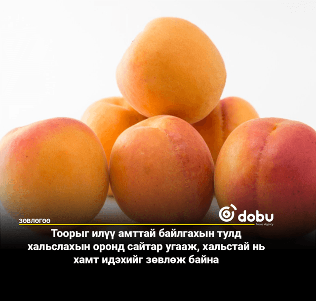 ЗӨВЛӨГӨӨ: Тоор жимсийг хальстай нь хамт идээрэй