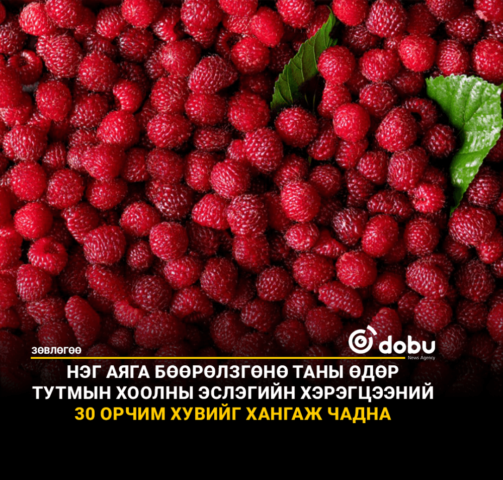 ЗӨВЛӨГӨӨ: Бөөрөлзгөнө цусан дахь сахарын хэмжээг хянаж, хоолны эслэгийг хүртэл нөхөж чаддаг