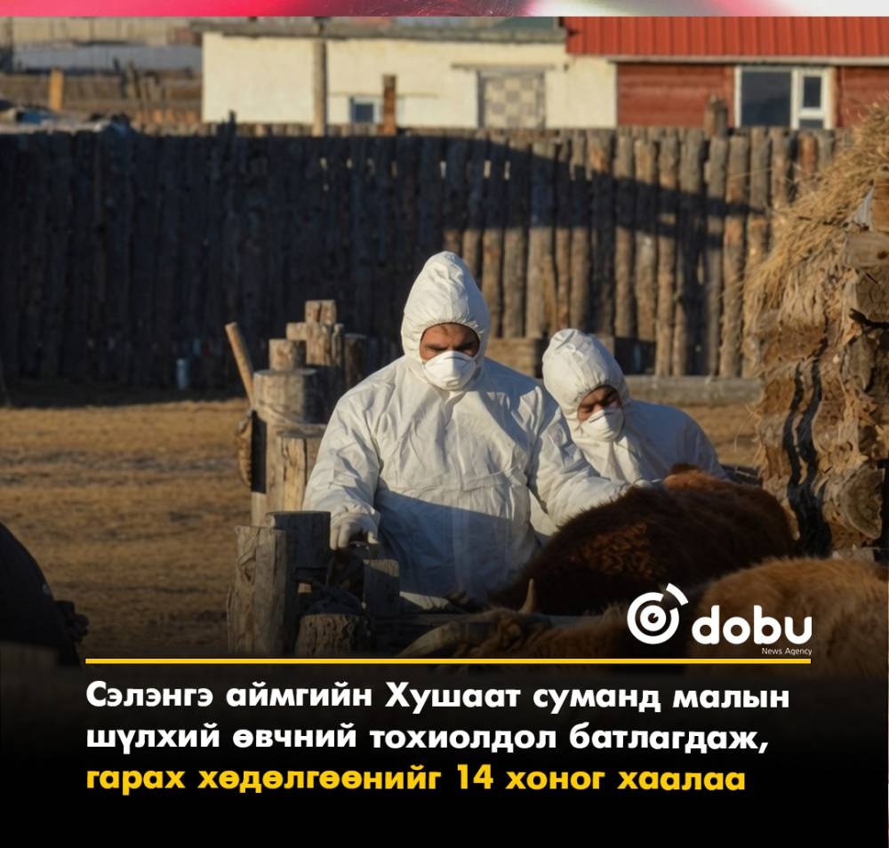 Сэлэнгэ аймгийн Хушаат суманд малын шүлхий өвчний тохиолдол батлагдаж, гарах хөдөлгөөнийг 14 хоног хаалаа