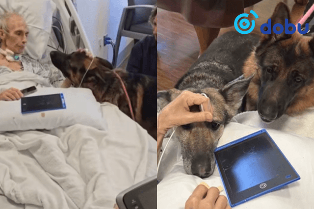 Эдгэршгүй өвчтэй эрийн сүүлчийн хүсэл биелжээ