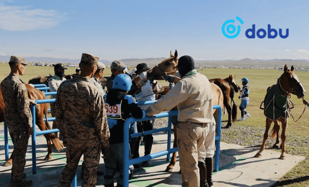 Шүдлэн, даага насны морьдын сэрвээний өндрийг тус бүр нэг см-ээр нэмлээ