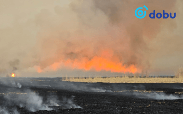 Ой, хээрийн 2 гал түймрийг унтраахаар ажиллаж байна