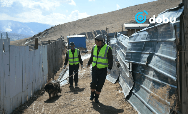 Нохой, муураа тэжээх боломжгүй бол түр асрах байранд шилжүүлэх, эзэнтэй болгохыг уриалж байна