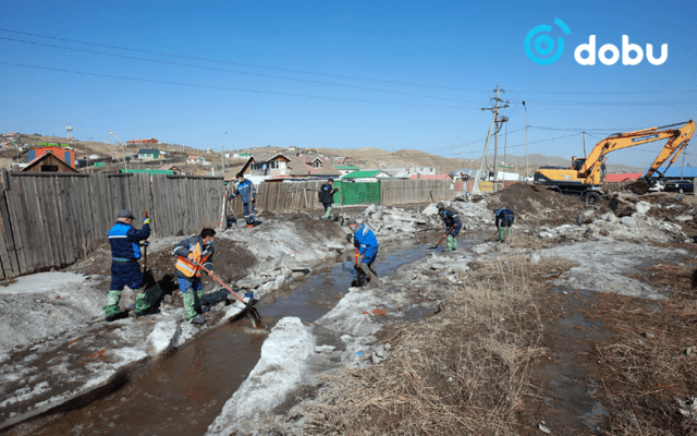 Нийслэлийн 19 байршилд халиа тошин үүсжээ
