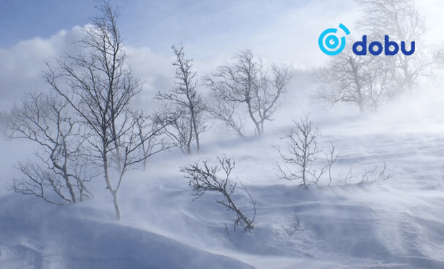 Зүүн, Төв, говийн аймгуудаар цасан болон шороон шуургатай