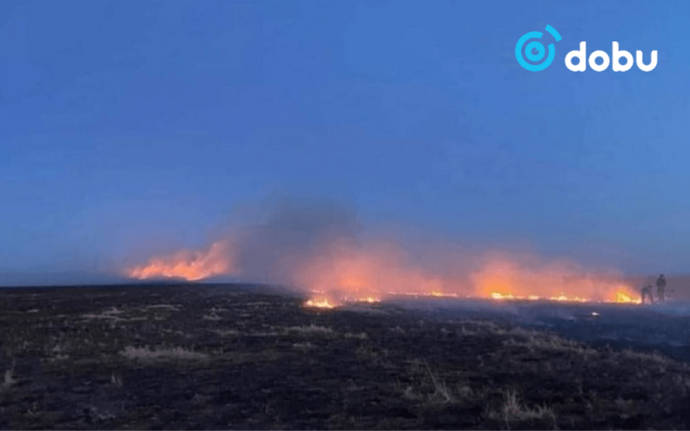 Дорнодод хээрийн түймэр гаргасан иргэнд 1 жилийн тэнсэн харгалзах ял оногдуулж, ₮7.6 саяын хохирлыг төлүүлэхээр шийдвэрлэжээ