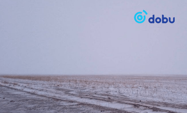 Гэр бүлийнхэнтэйгээ маргалдаж сураггүй алга болсон согтуу иргэнийг эсэн мэнд оллоо