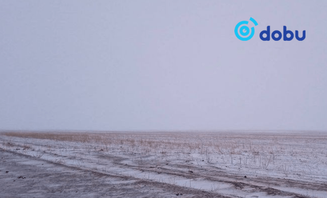 Гэр бүлийнхэнтэйгээ маргалдаж сураггүй алга болсон согтуу иргэнийг эсэн мэнд оллоо