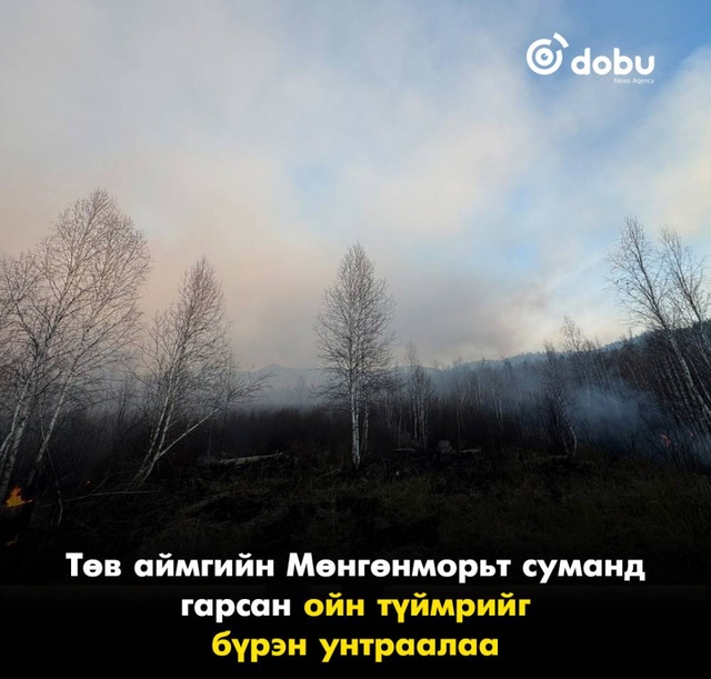 Төв аймгийн Мөнгөнморьт суманд гарсан ойн түймрийг бүрэн унтраалаа