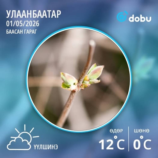 Улаанбаатарт өдөртөө 12 градус дулаан байна. Үүлшинэ