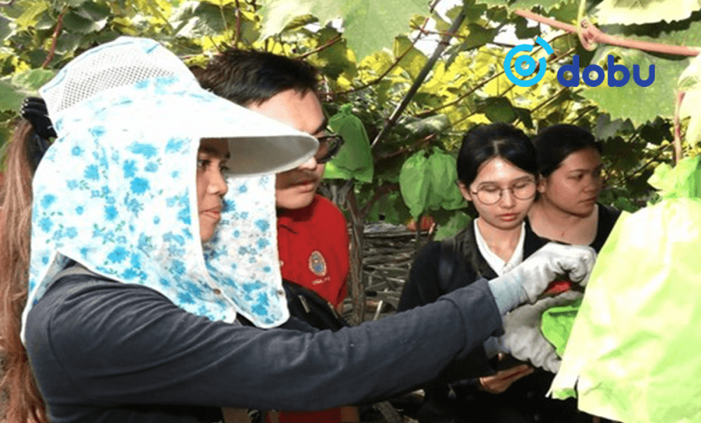 Монголоос улиралын чанартай ажилчид илүү их авахыг хүсчээ