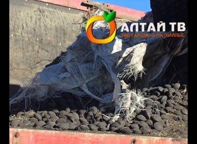 Тавантолгой түлш ХХК-ийн коксожсон нүүрсийг Говь-Алтай аймагт борлуулах гэж байгаад баригджээ