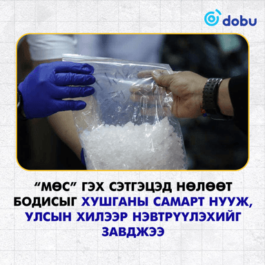 “Мөс” гэх сэтгэцэд нөлөөт бодисыг хушганы самарт нууж, улсын хилээр нэвтрүүлэхийг завджээ