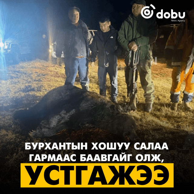Хэргийн газрын ойролцоогоос баавгай олж, устгасан байна
